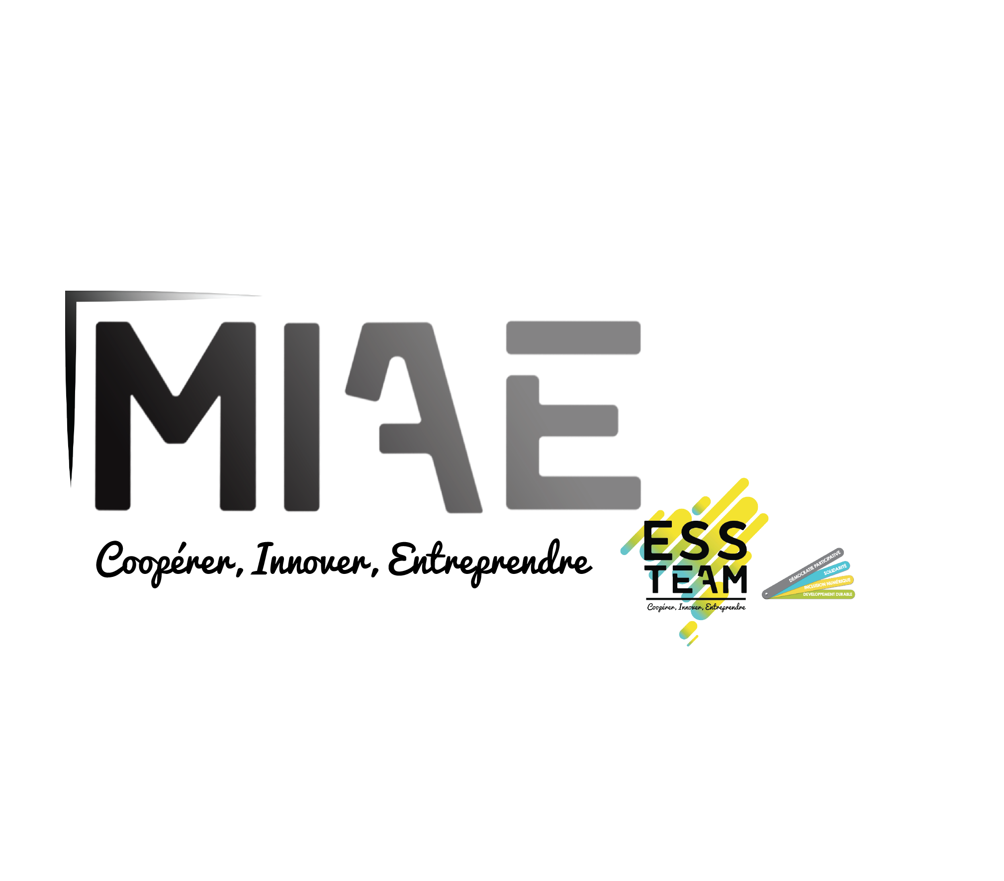 MIAE_logo_noir